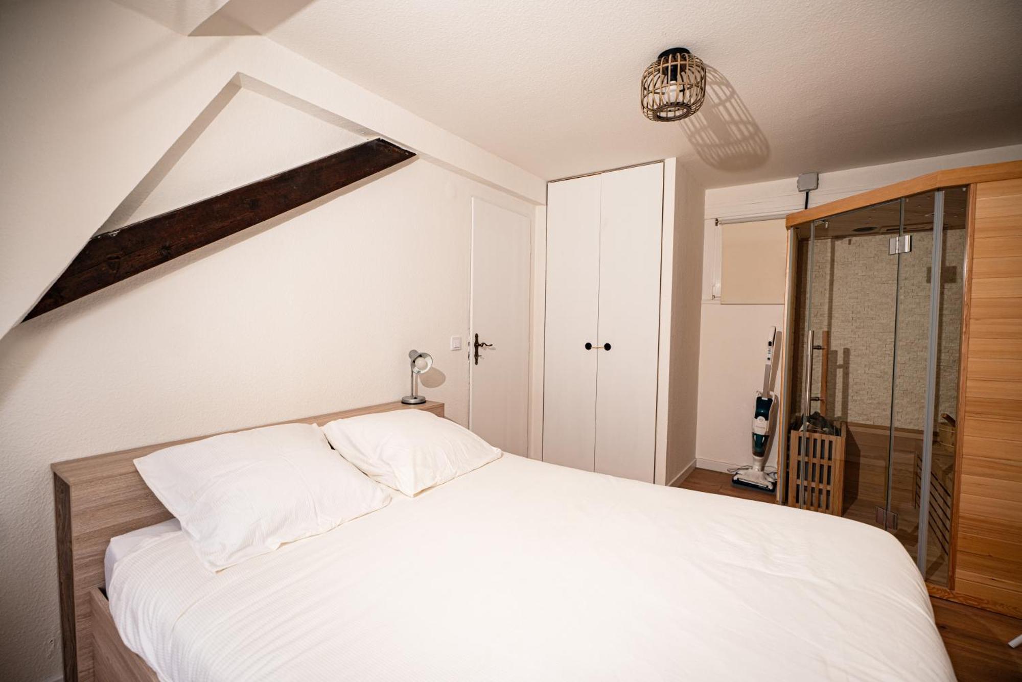 Appartement Moderne T2 Centre Sauna Wifi Office Netflix Straatsburg
