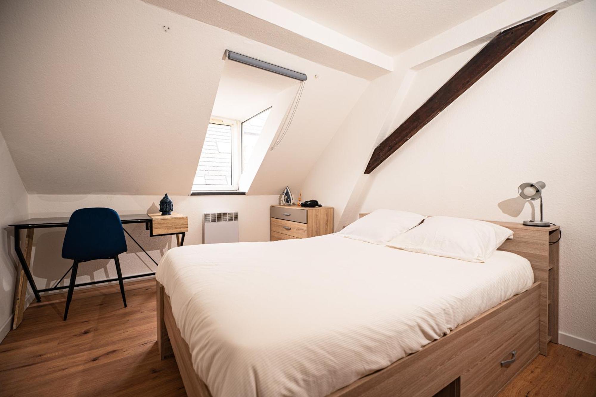 Appartement Moderne T2 Centre Sauna Wifi Office Netflix Straatsburg